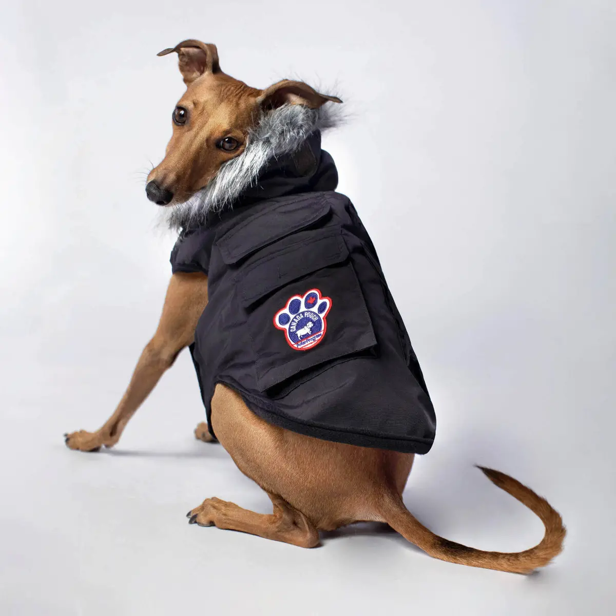 Canada Pooch | Everest Explorer Vest In Black 1