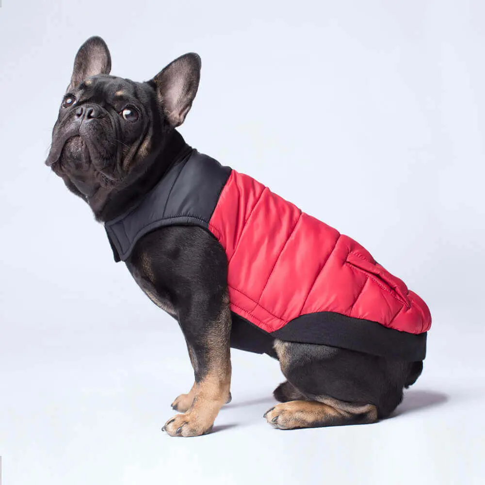 Canada Pooch | Summit Stretch Vest In Red 1