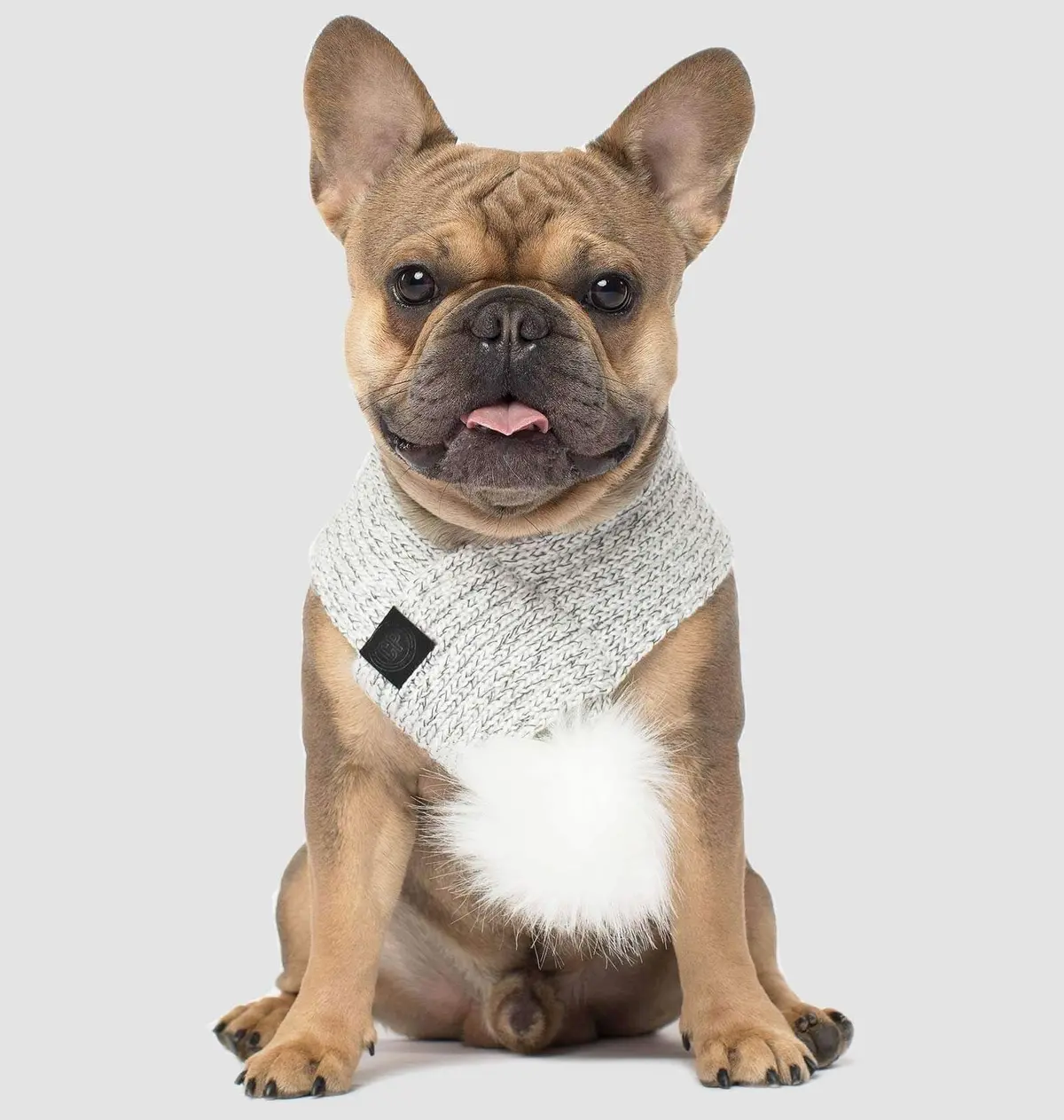 Canada Pooch | Pom Pom Scarf In Snow Fox 1