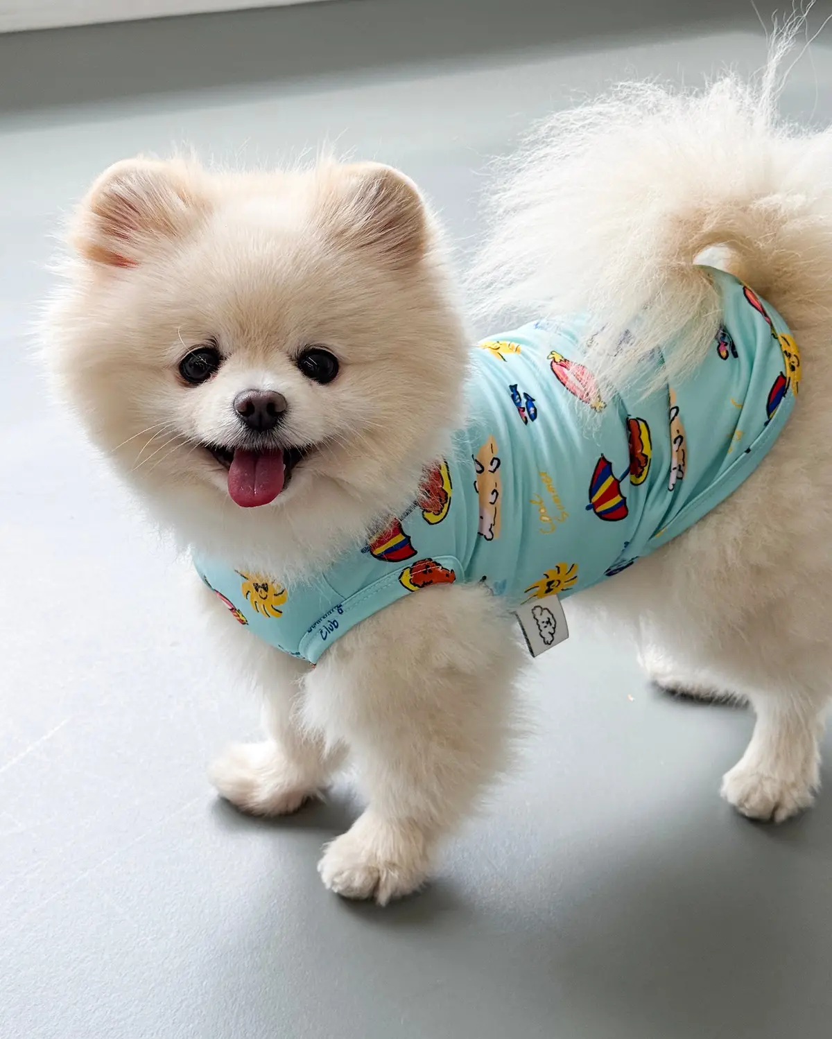 Swimming Club Dog Cooling Tee (Final Sale) 1