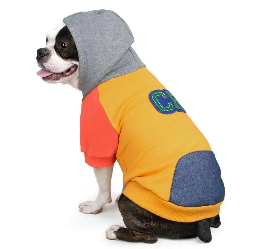 Charlie's Backyard | Club Hoodie In Yellow 1