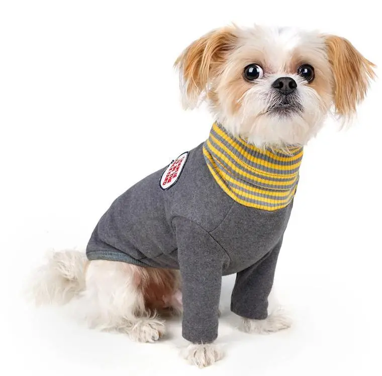 Charlie's Backyard | Daze Turtleneck In Gray 1