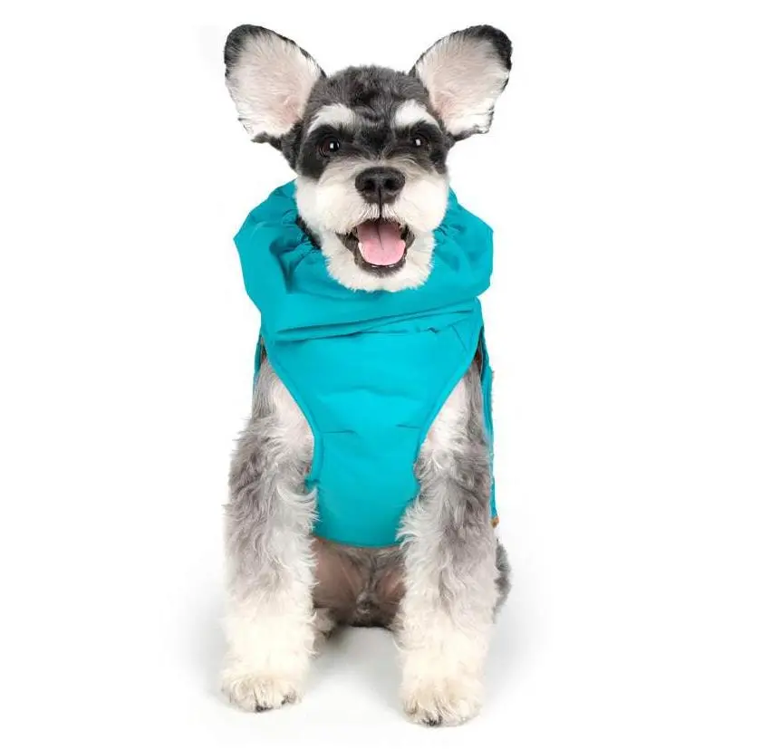 Charlie's Backyard | Turtle Padding Jacket In Teal 1