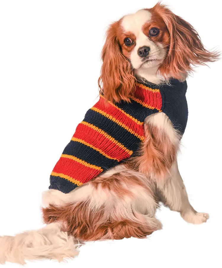 Chilly Dog | Rugby Sweater 1