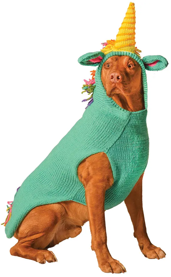 Chilly Dog | Unicorn Sweater 1