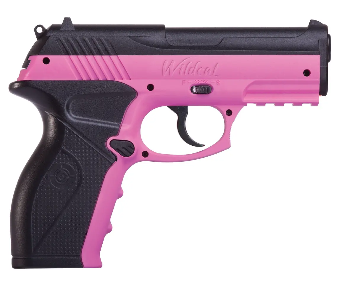 Crosman Wildcat Co2 Gas Gun 1