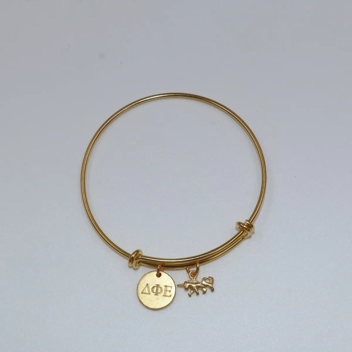 Delta Phi Epsilon Expandable Bracelet 1