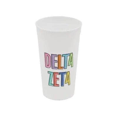 Delta Zeta Stadium Cup 1