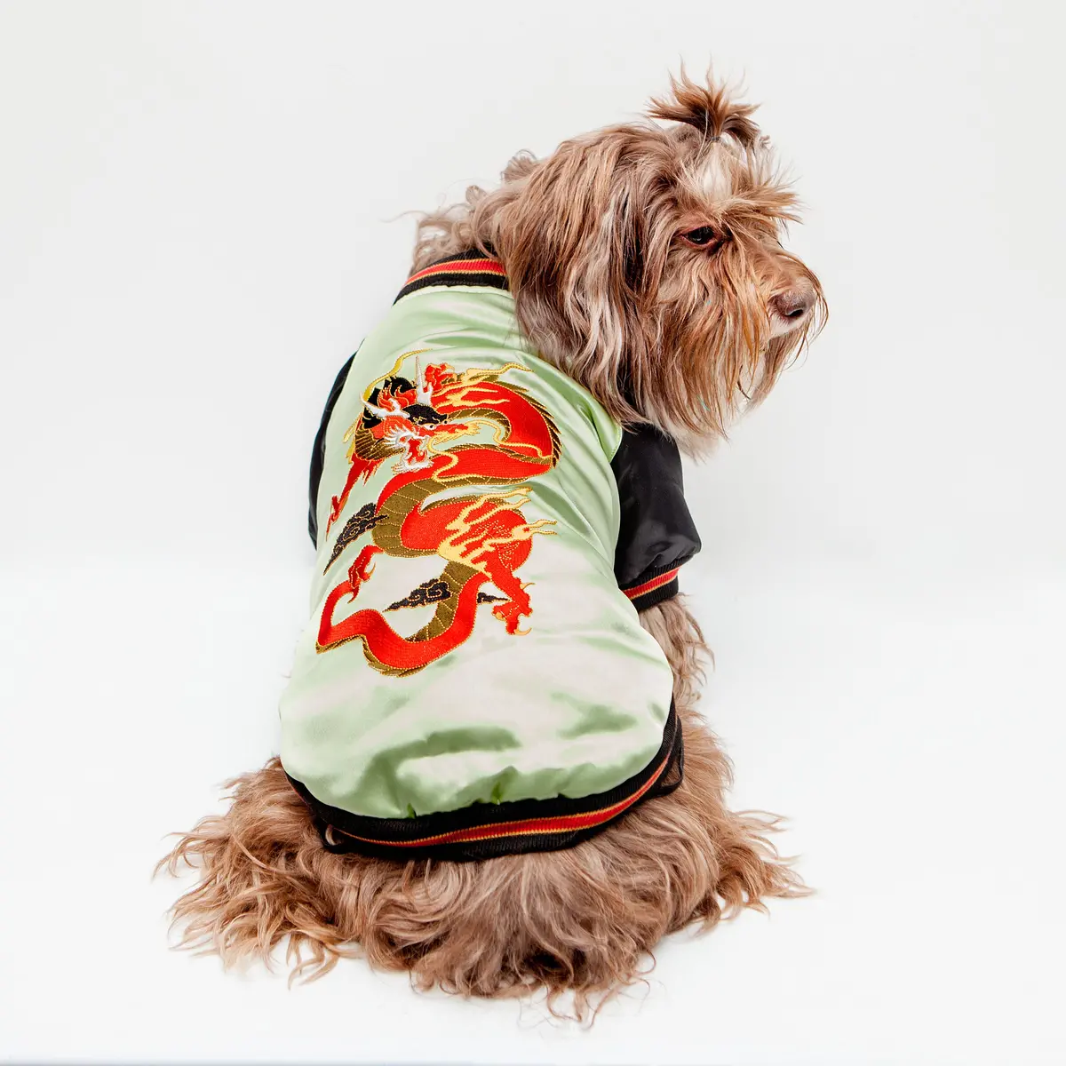 Croci | Street Dragon Padded Jacket 1