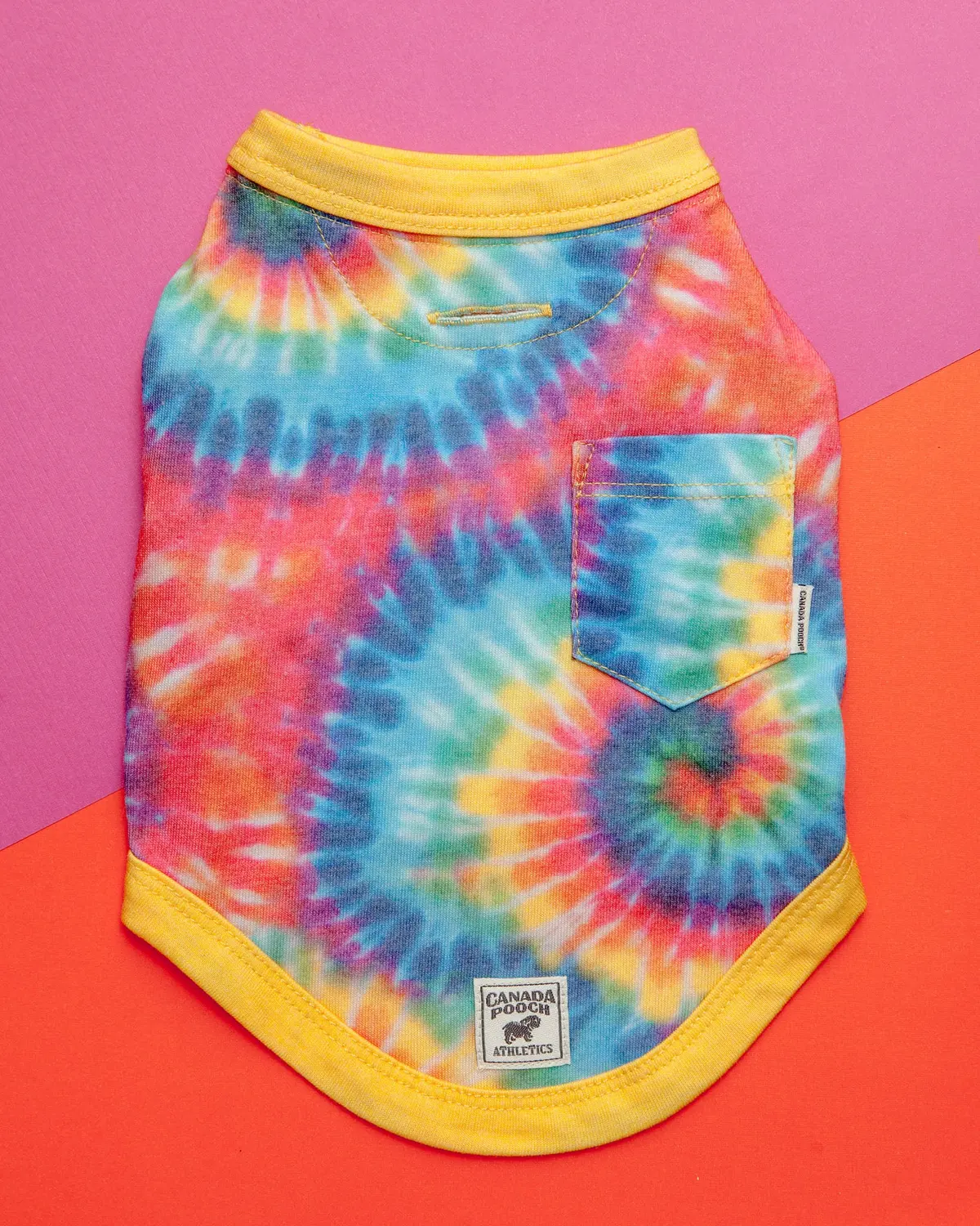 Follow Me Dog Tee In Tie Dye (Final Sale) 1