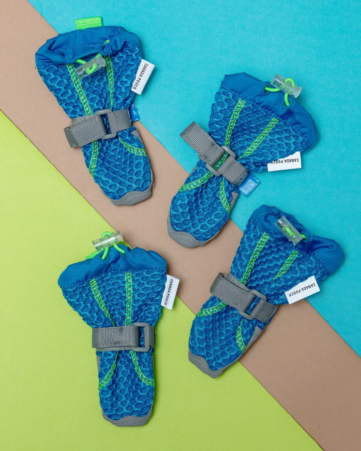 Hot Pavement Dog Boots In Blue And Green << Clearance >> 1