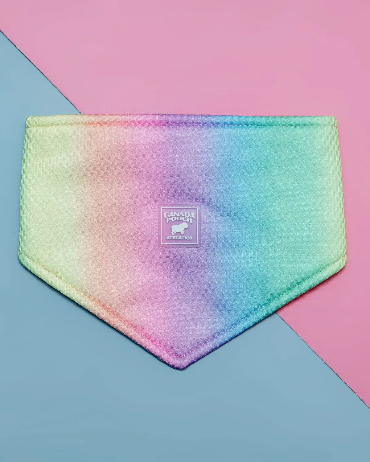 Chill Seeker Cooling Dog Bandana In Rainbow << Clearance >> 1