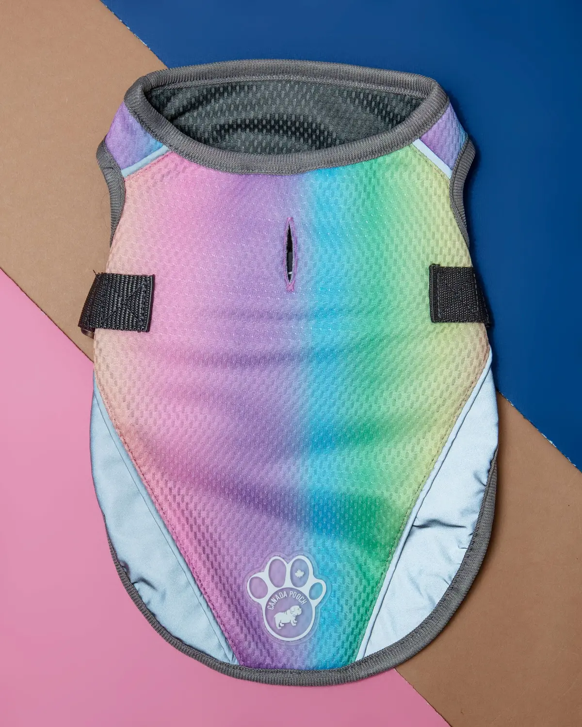 Chill Seeker Cooling Dog Vest In Rainbow << Clearance >> 1