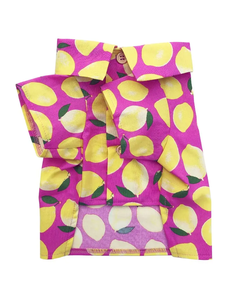 Dog Threads | Lemons Bbq Shirt 1