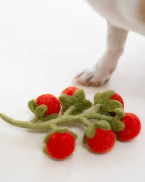 Wool Cherry Tomato Vine Dog Toy 1