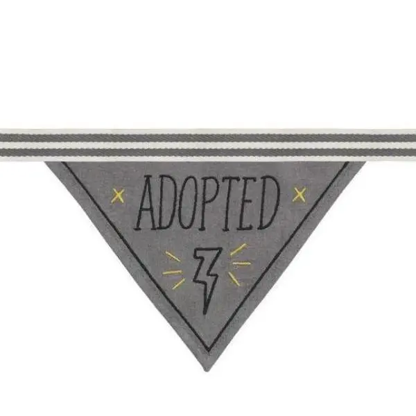 Easy Tiger | Adopted Bandana 1