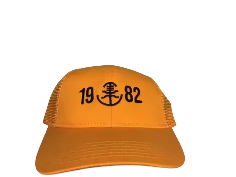 Lambda Upsilon Lambda Hat 1