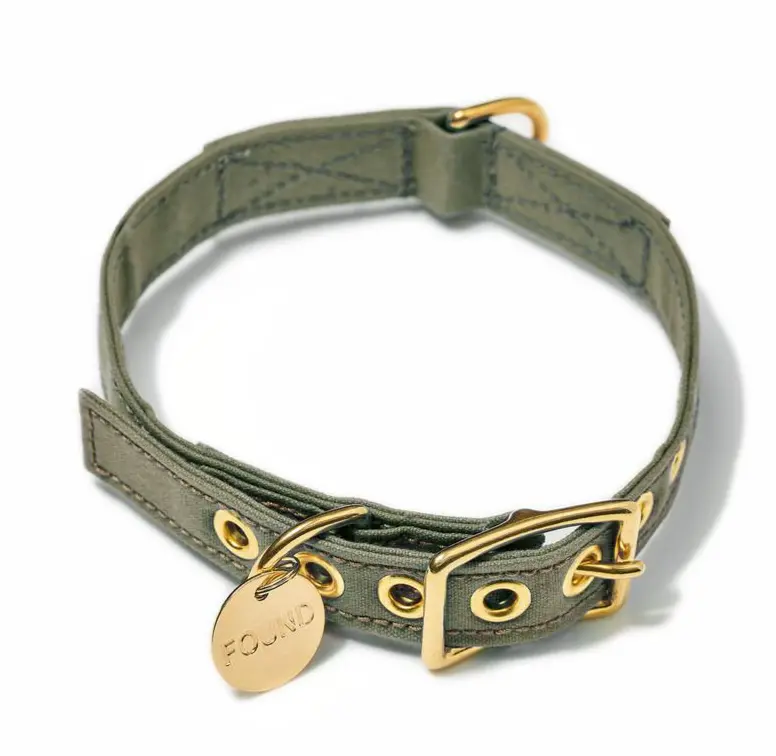 Found My Animal | Olive Cotton Canvas Collar 1