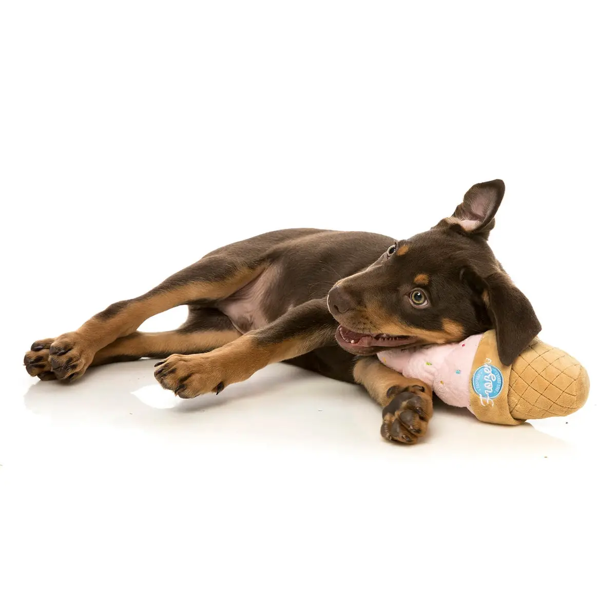Fuzzyard | Ice Cream Dog Toy 2