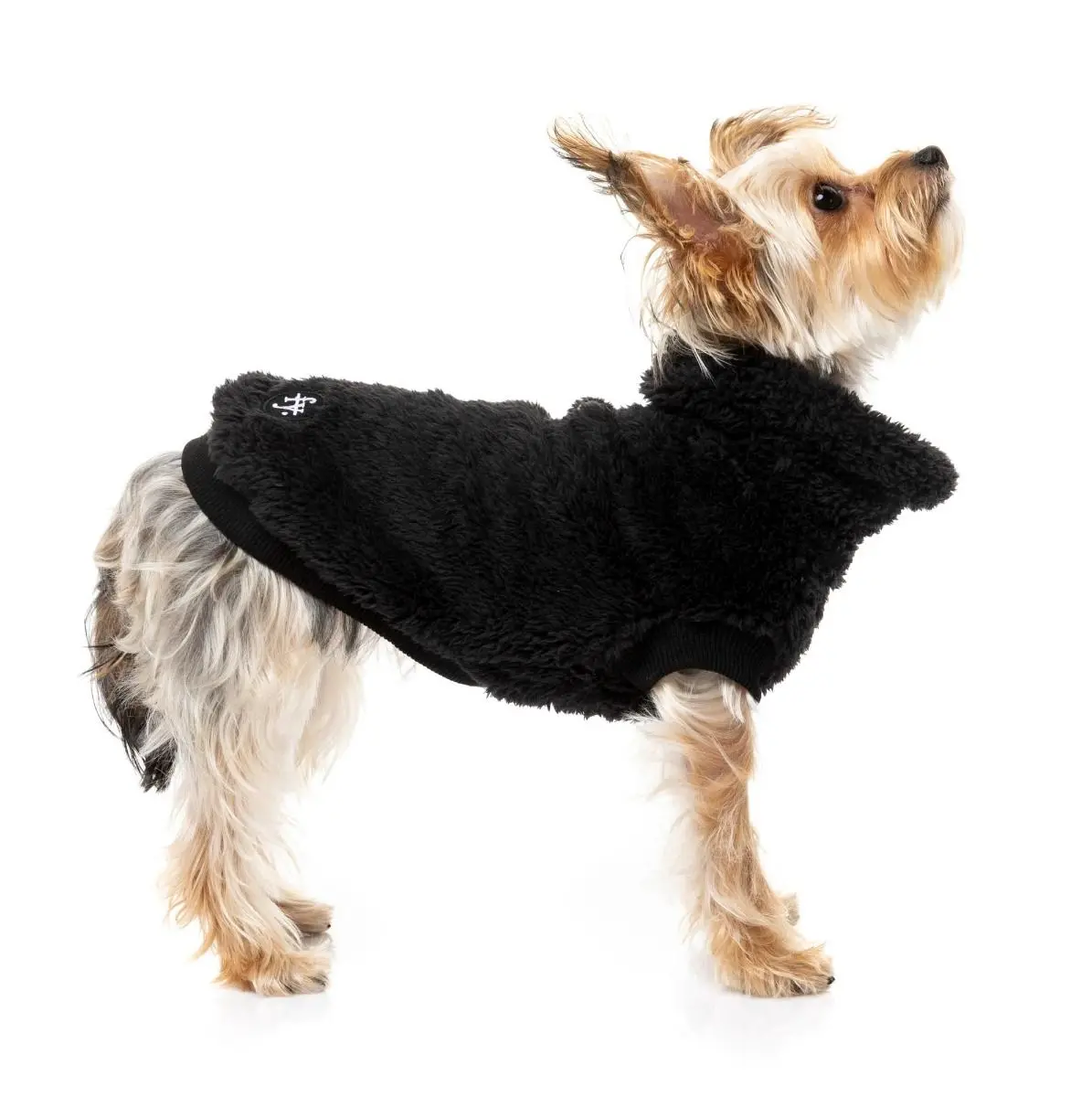 Turtle Teddy Dog Fleece In Black (Final Sale) 1