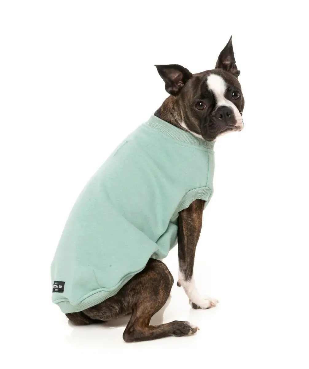 All Day Sweatshirt In Mint (Final Sale) 1