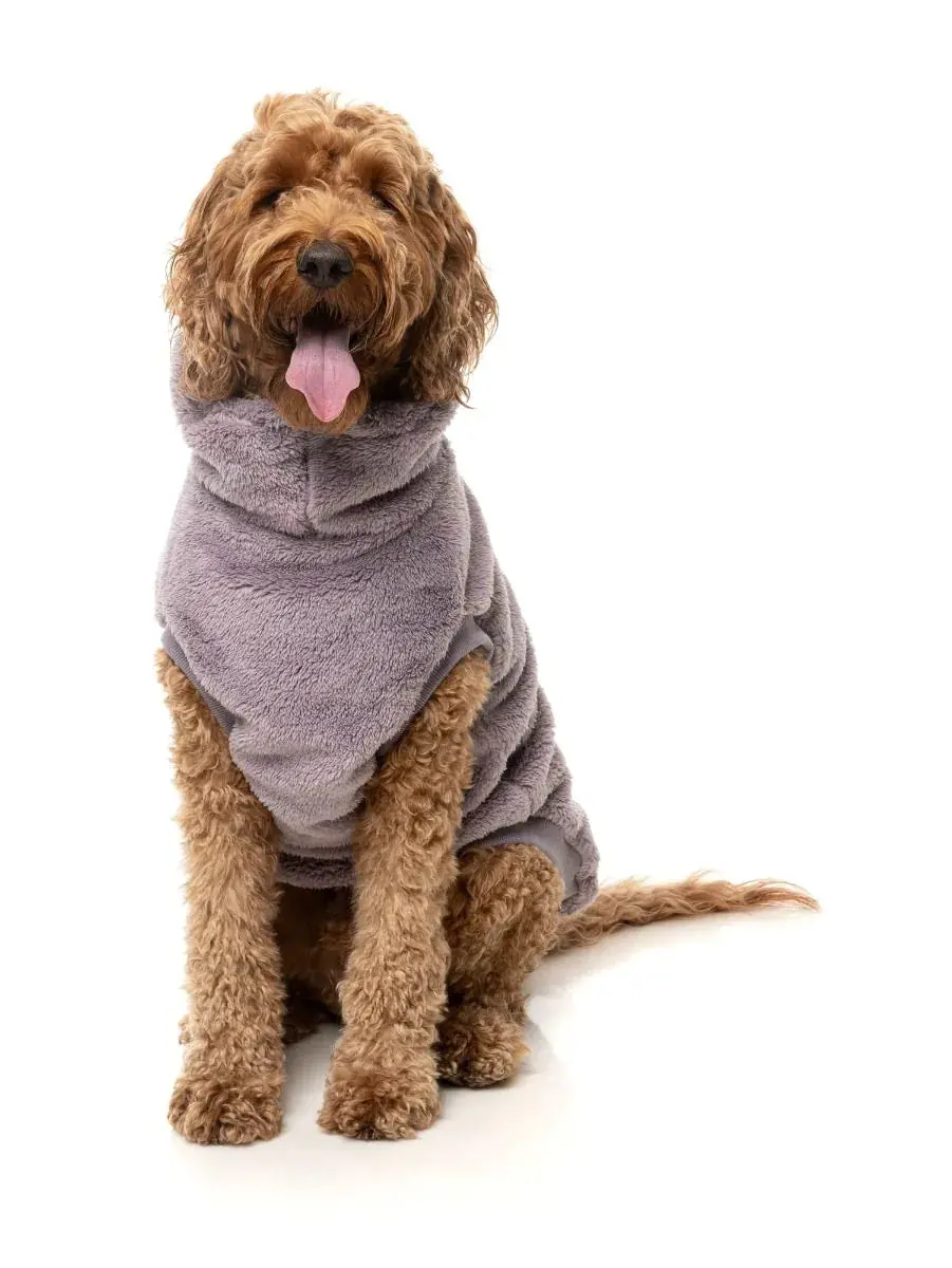 Turtle Teddy Dog Fleece In Lavender (Final Sale) 1