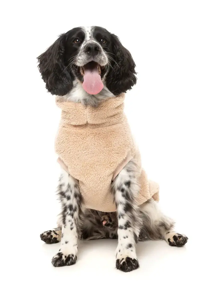 Turtle Teddy Dog Fleece In Desert Tan 1