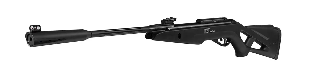 Gamo 4.5Mm Whisper Igt 1
