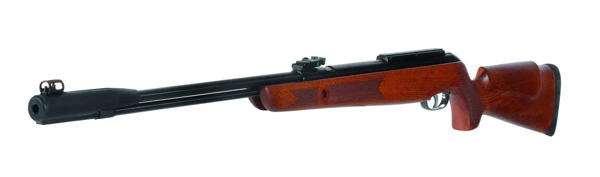 Gamo 5.5Mm Cfx Royal 1