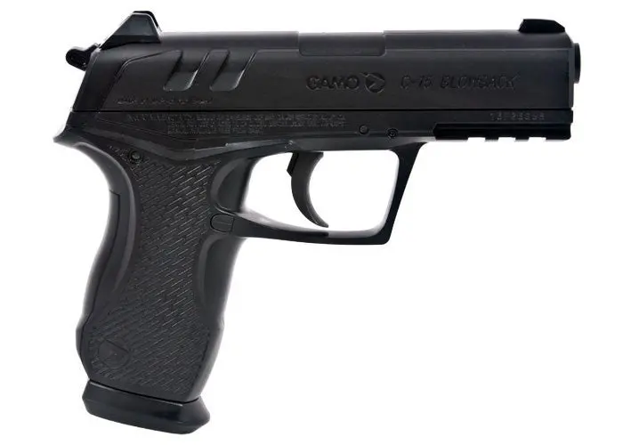 Gamo C-15 Co2 Gas Gun 1