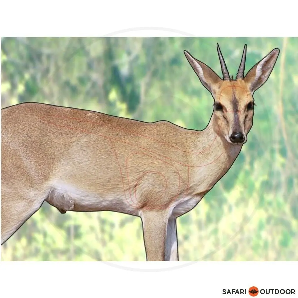 Garipani Duiker Target 1