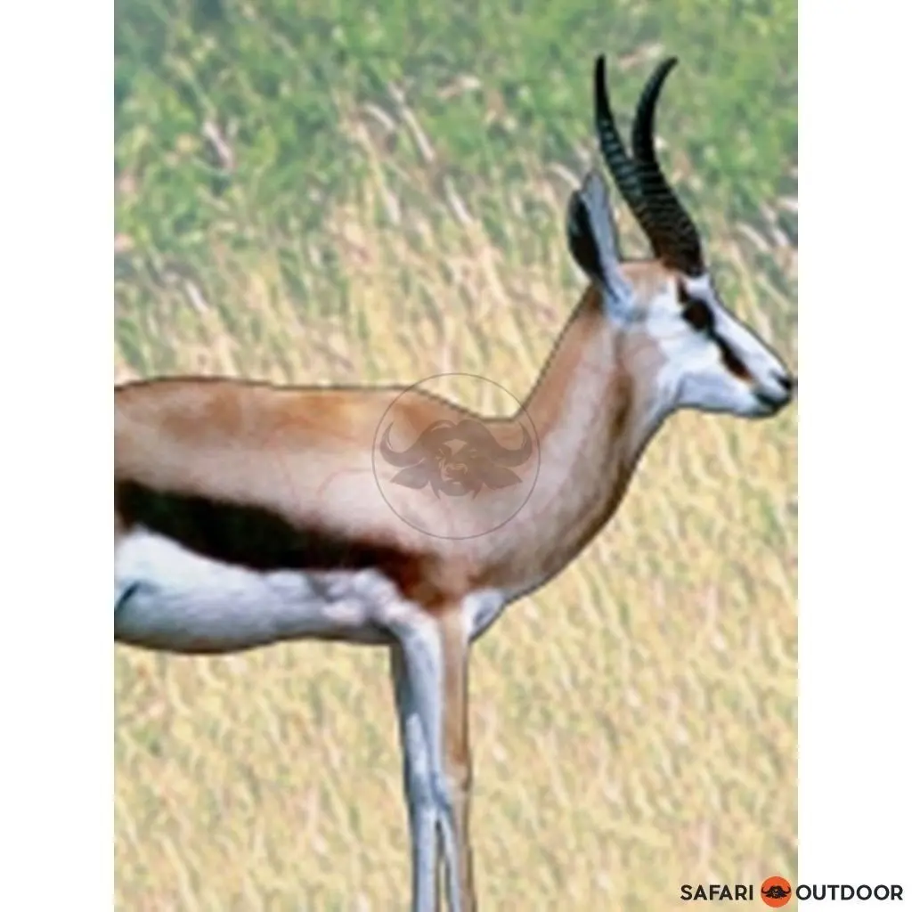Garipani Springbok Target 1