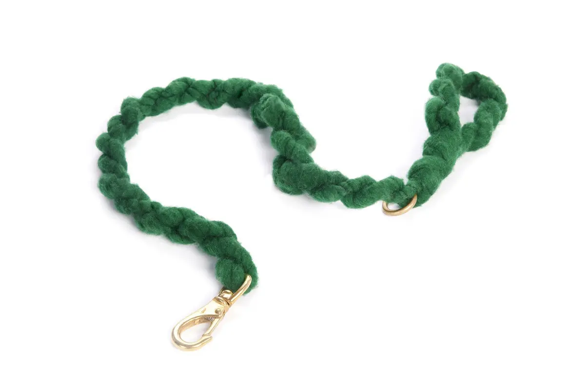 Loopy Mango | Diy Dog Leash Kit In Emerald 1