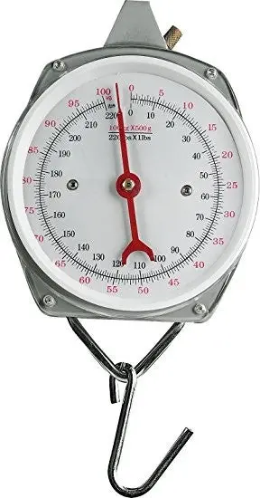 Hanging Scale 100Kg 1