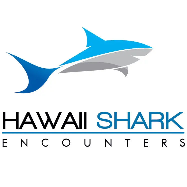 Hawaii Shark Encounters 1