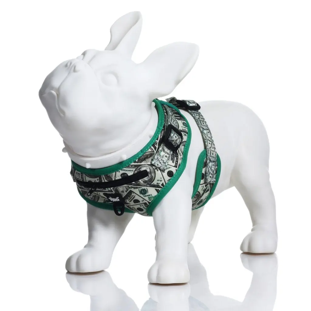 Heady Pet | Money Money Harness 1