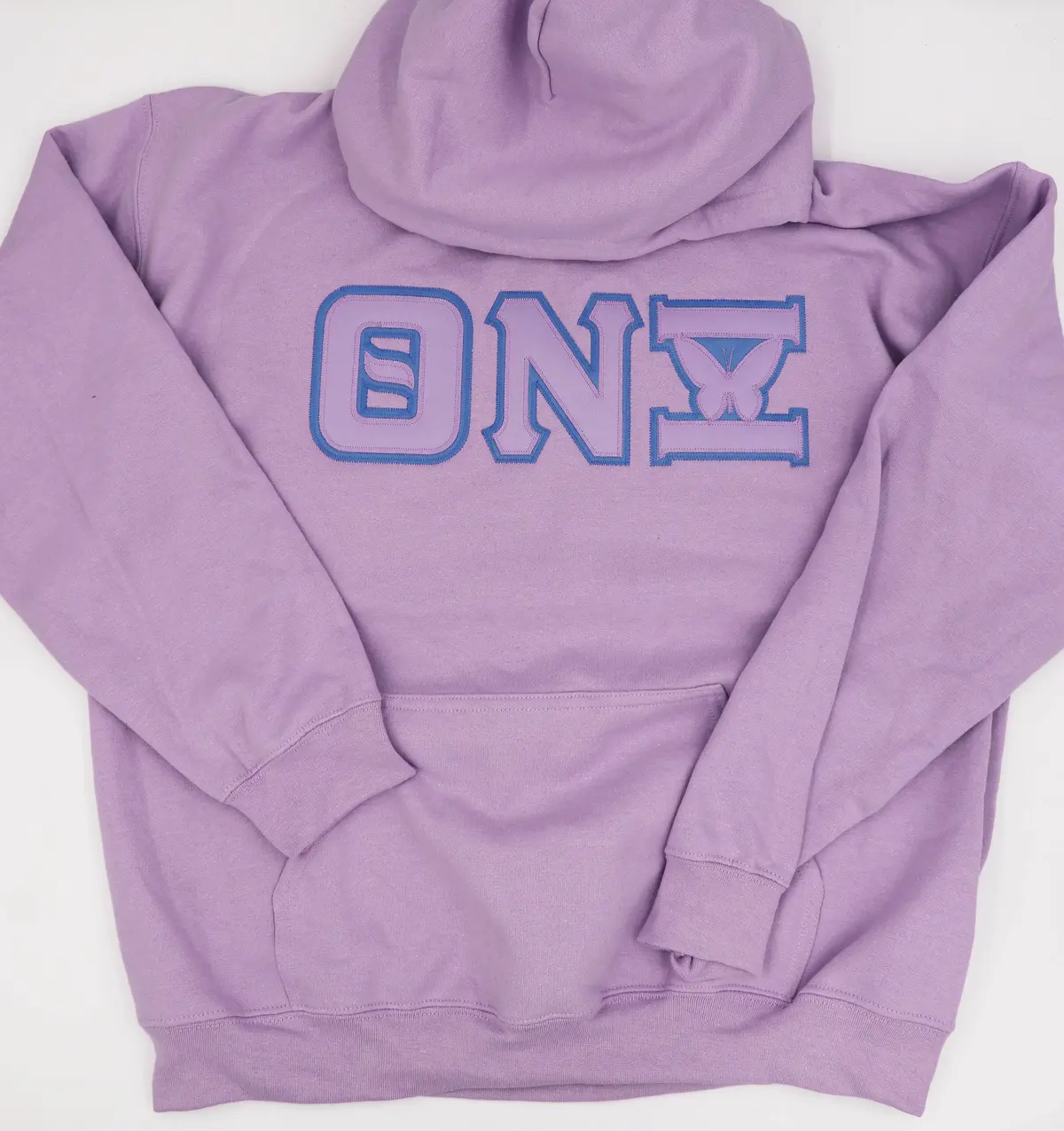 Theta Nu Xi Lavender Greek Hoodie 1