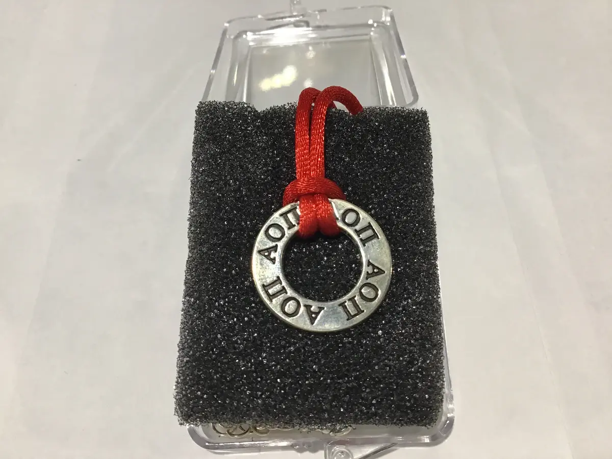 Alpha Omicron Pi Round Charm Necklace 1