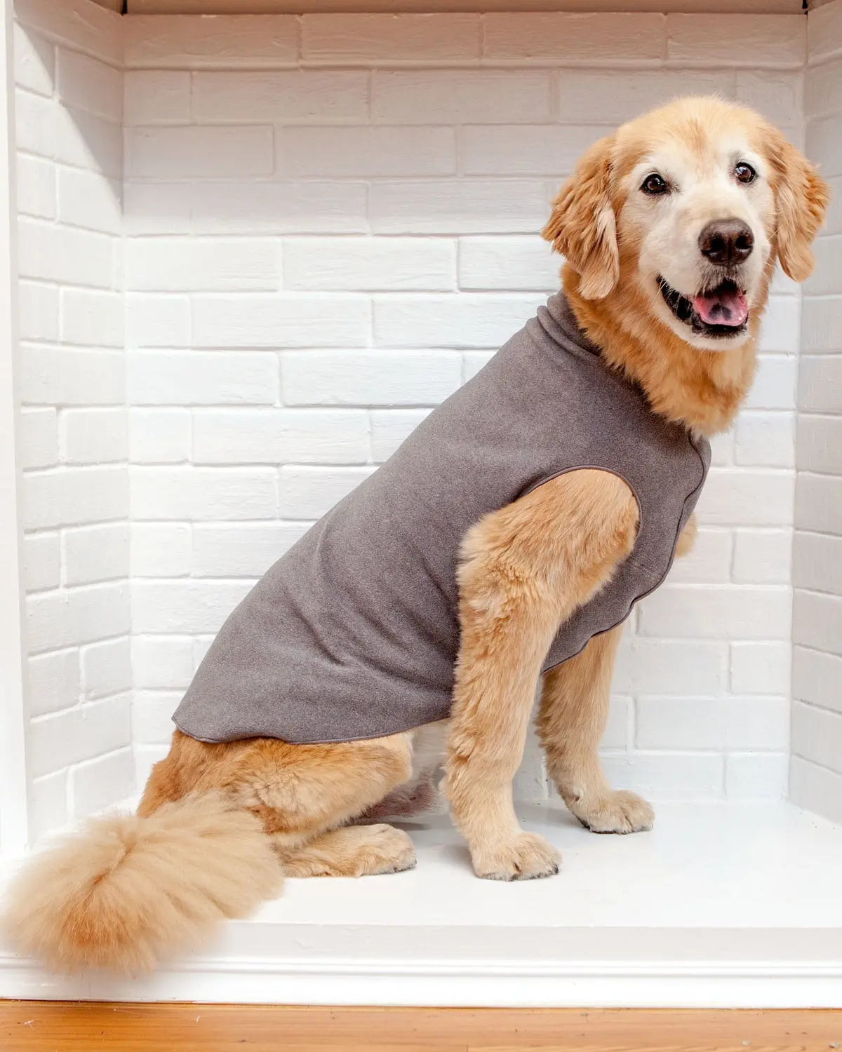 Pullover Stretch Dog Fleece In Charcoal Grey 1