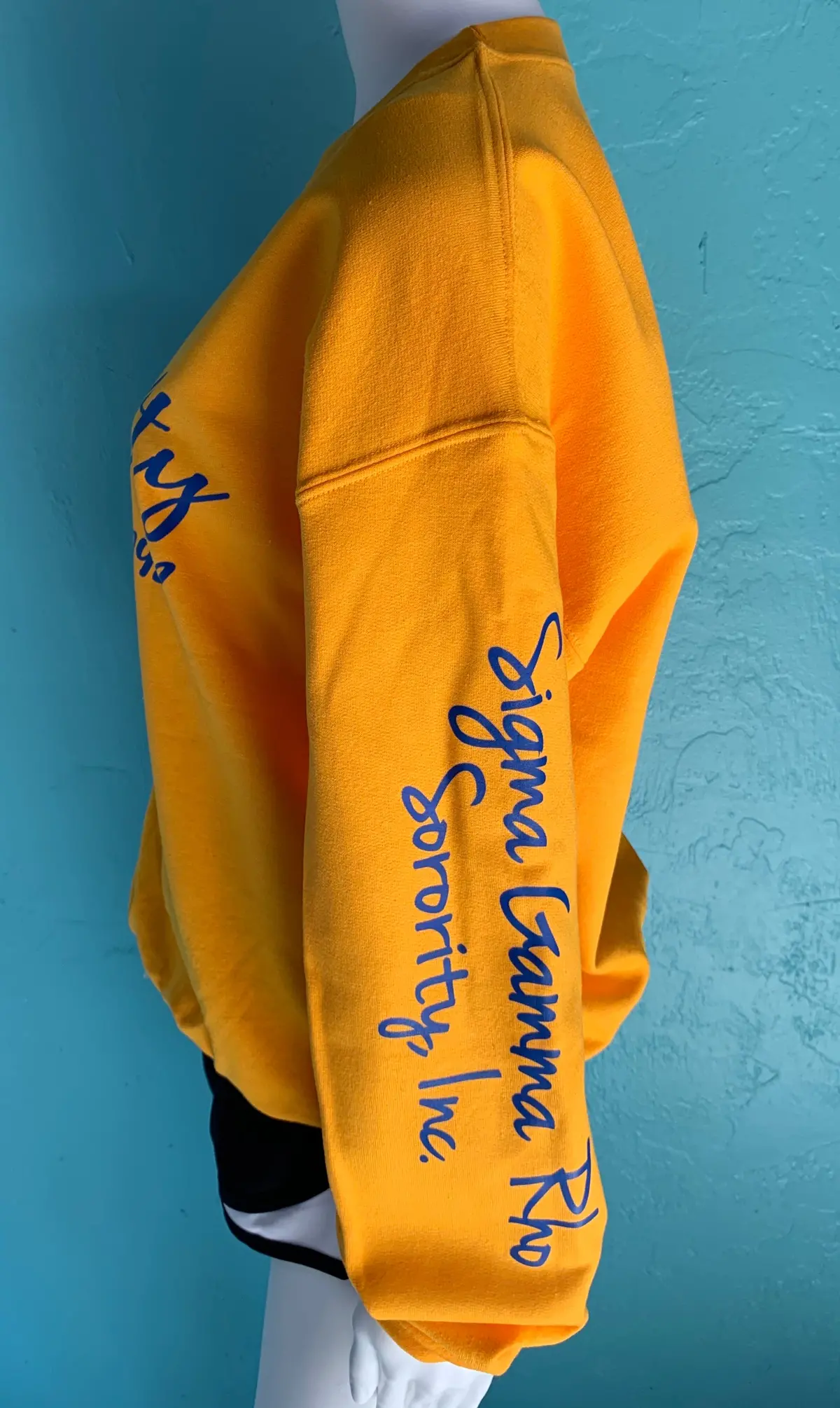Sigma Gamma Rho Specialty Crewneck Sweatshirt 5