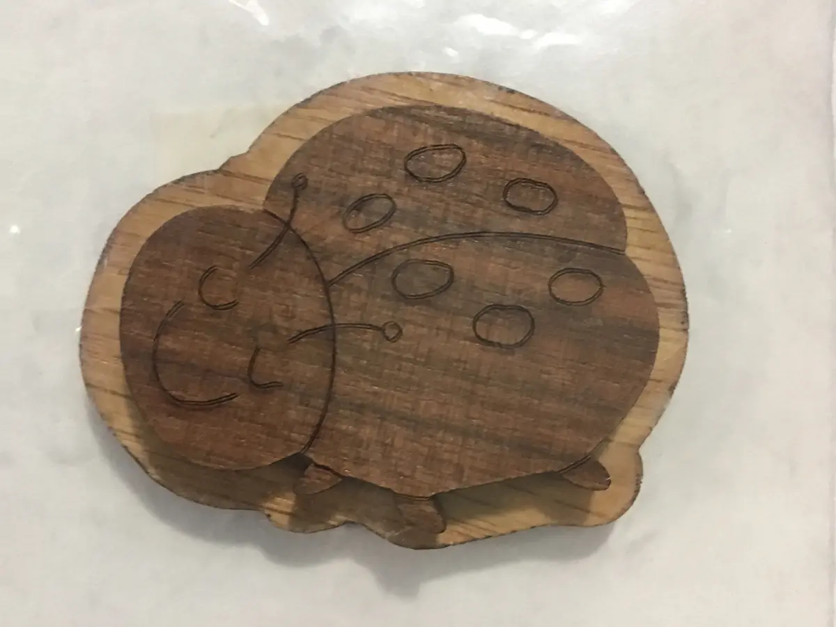 Lady Bug Oak-Backed Symbol 1