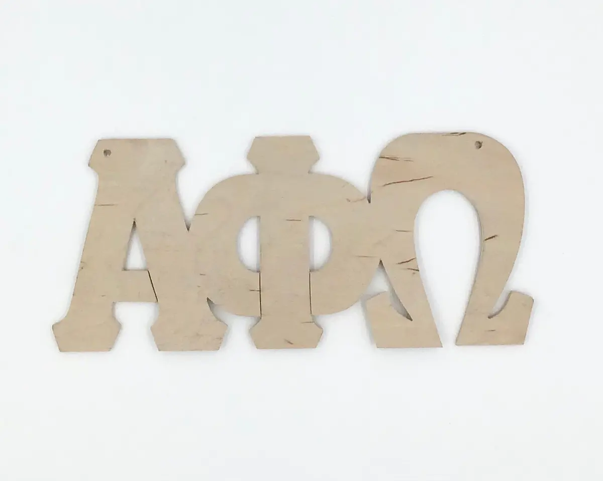Alpha Phi Omega Wood Door Deck 1