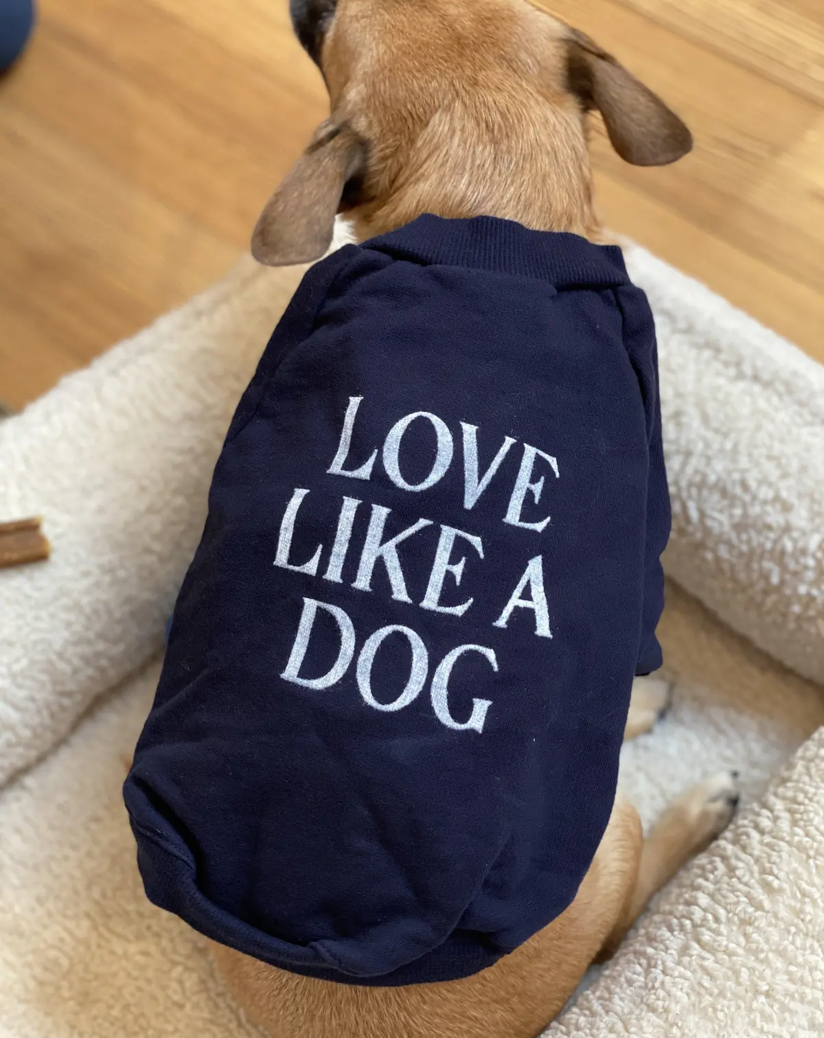 Cut-Sleeve “Love Like A Dog” T-Shirt (Made In The Usa) (Final Sale) 1