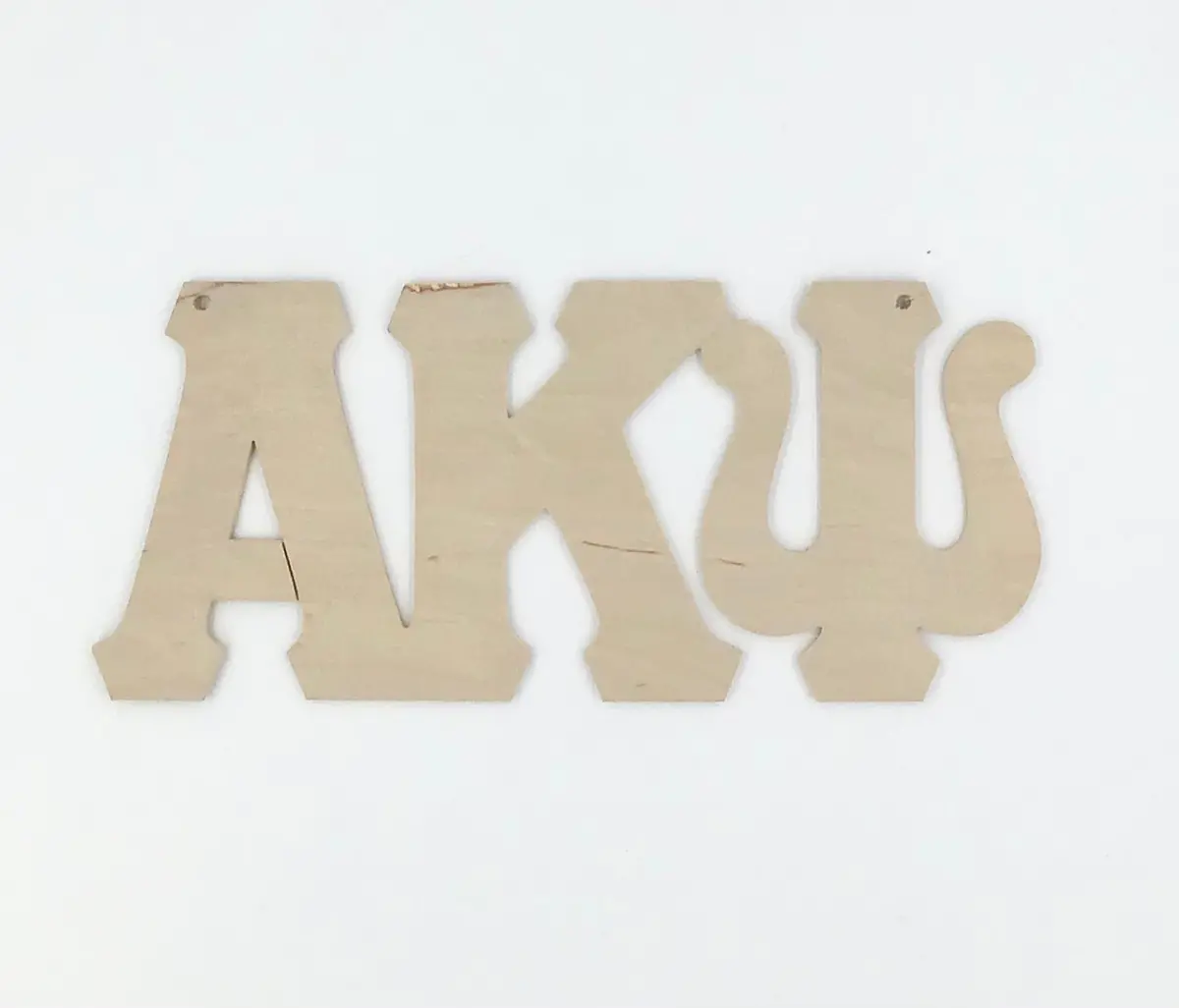Alpha Kappa Psi Wood Door Deck 1