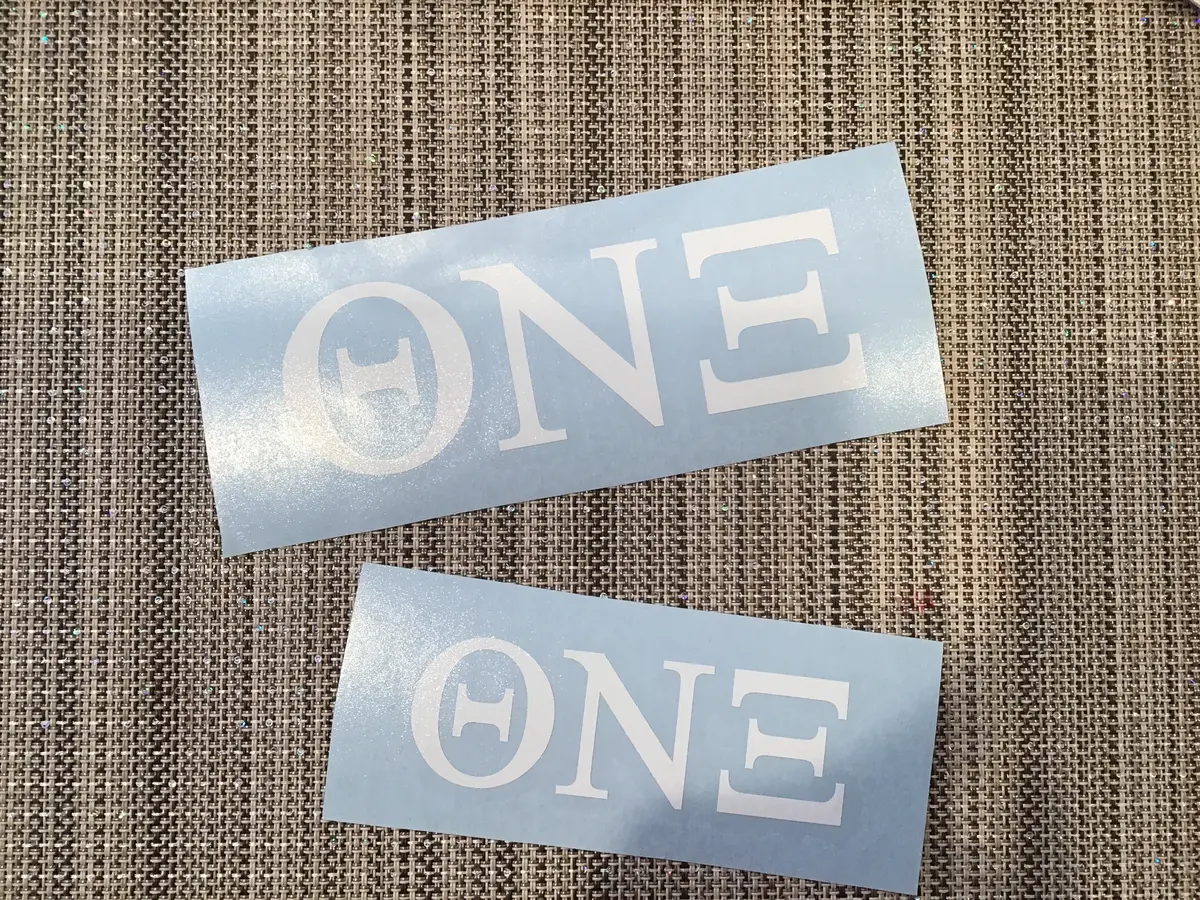 Theta Nu Xi Vinyl Decal 1