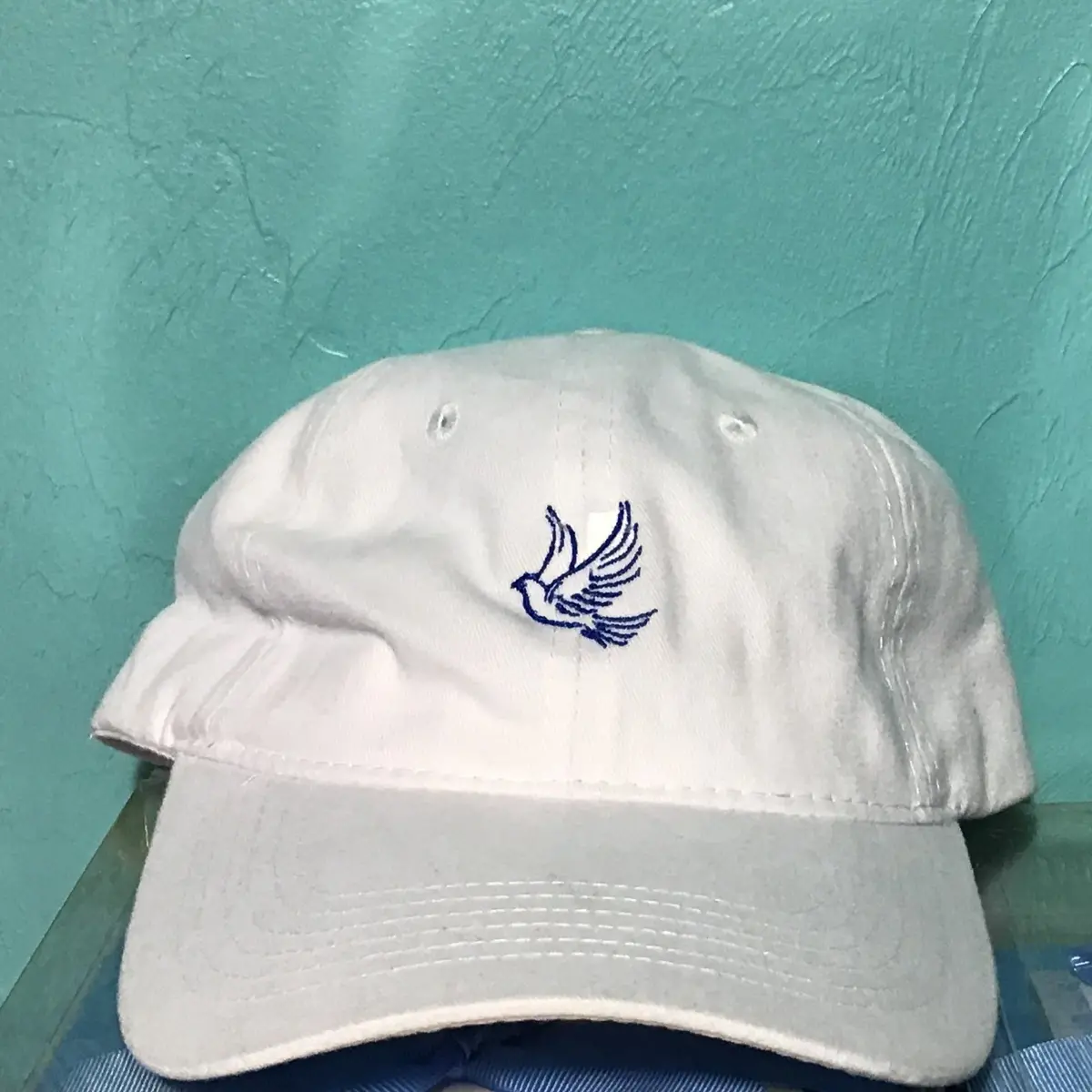 Zeta Phi Beta Mascot Hat 1