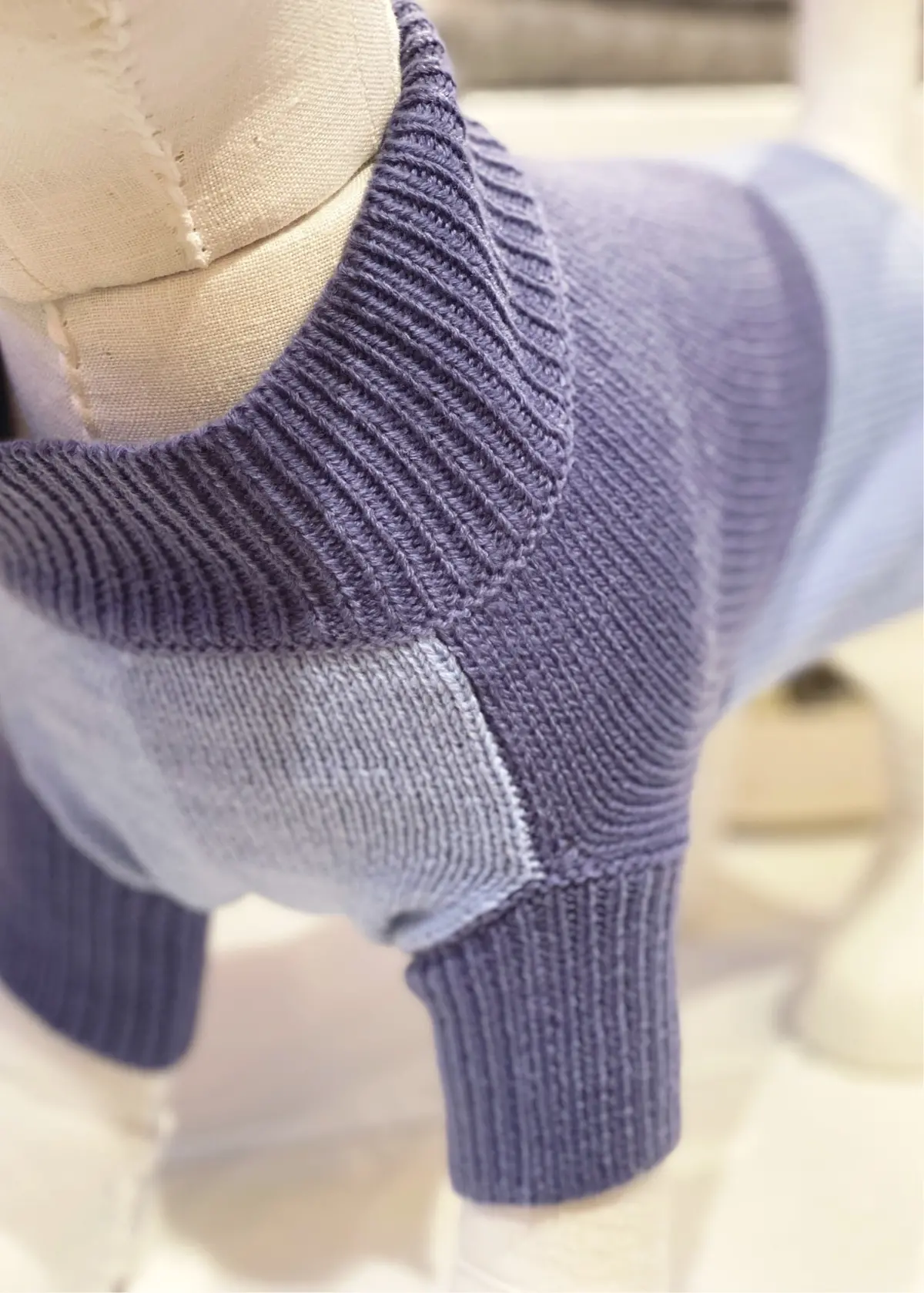 Colorblock Knit Dog Sweater In 2-Tone Blue((Final Sale)) 3