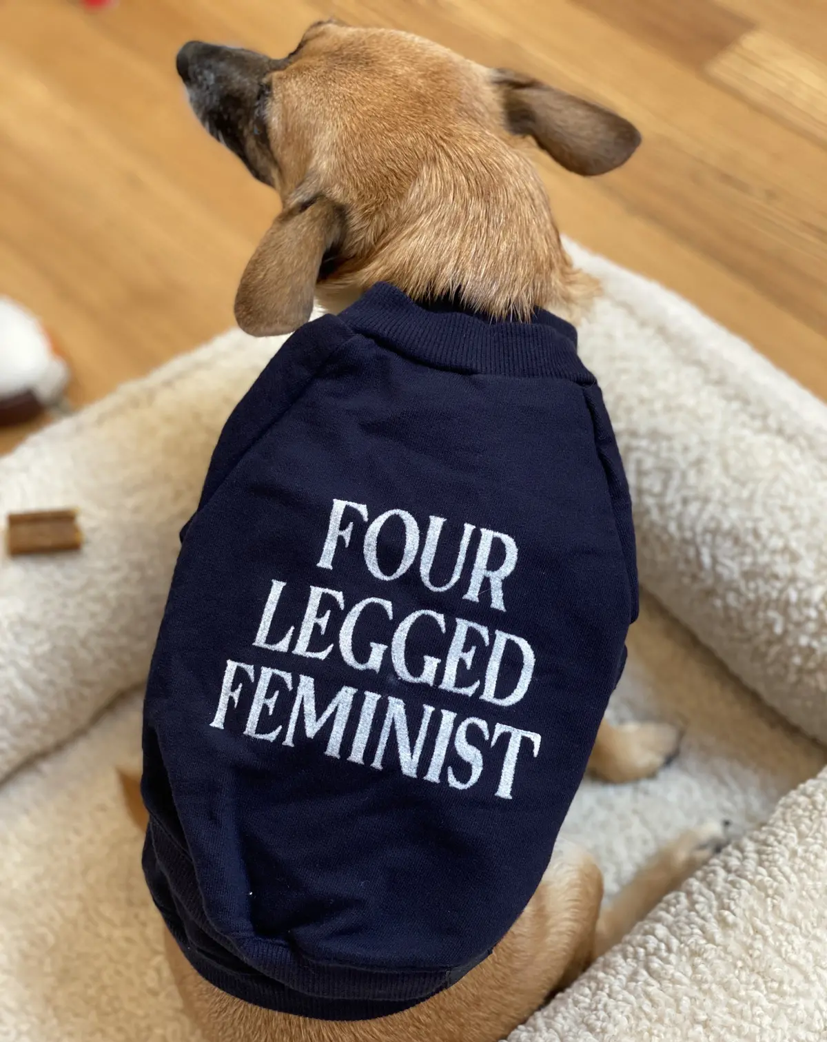 Cut-Sleeve “Four-Legged Feminist” T-Shirt (Made In The Usa) 1