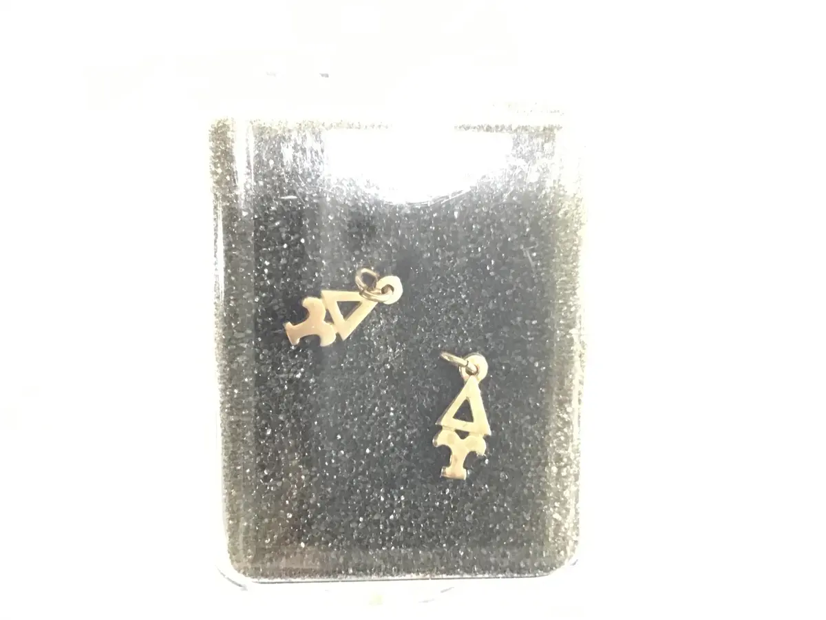 Delta Upsilon Discontinued Lavalier 1