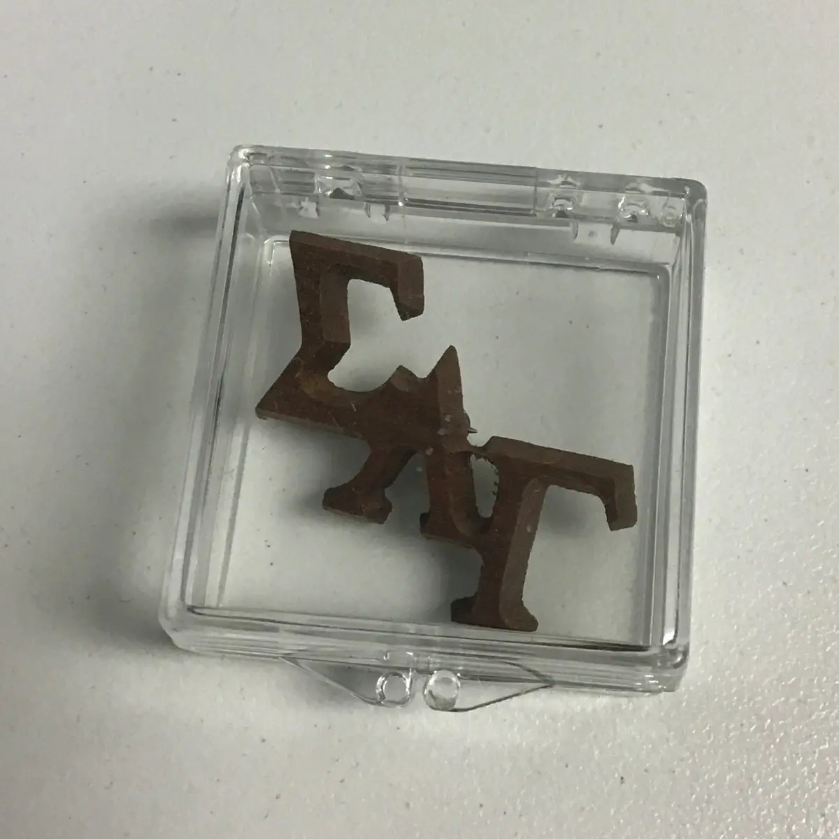 Sigma Lambda Gamma Wooden Pin 1